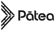 Pātea